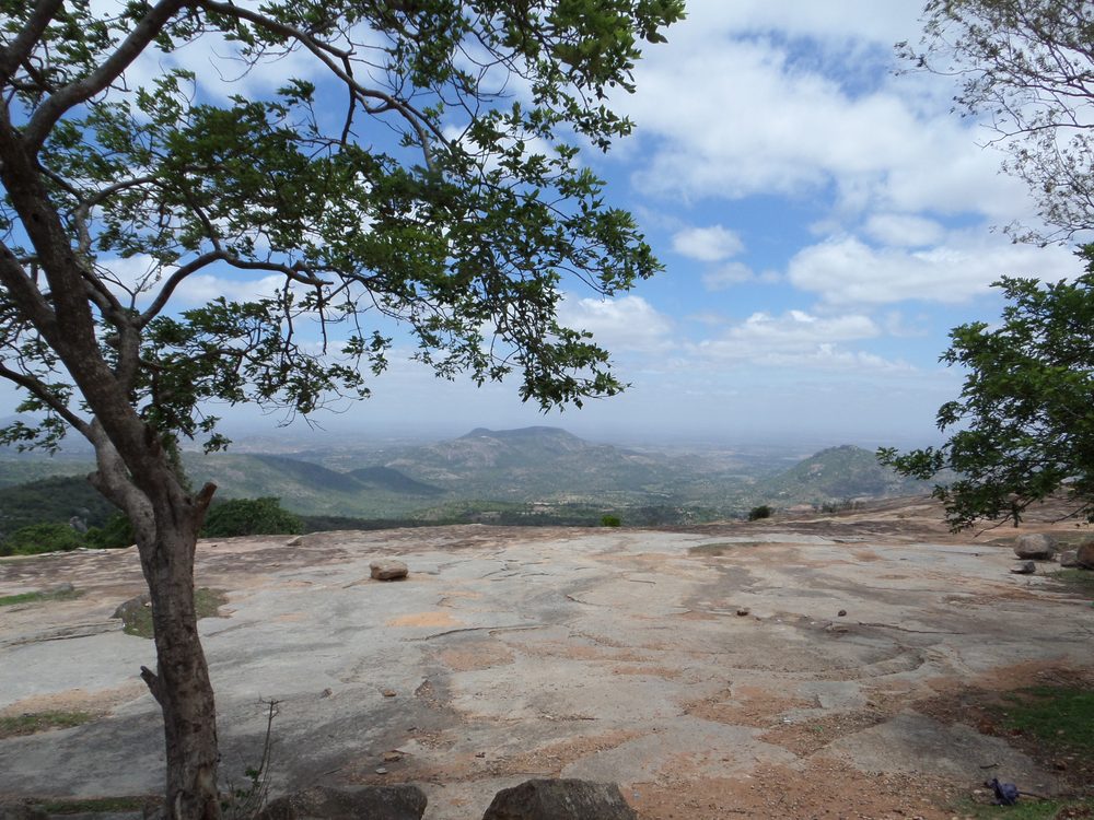 Rocky terrain, Horsley Hills